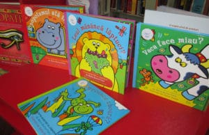 Serviciul de Inscriere şi Împrumut carte la domiciliu – Compartimentul Împrumut carte pentru Copii şi Adolescenţi Biblioteca Județeană „Gh. Asachi” Iași