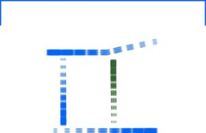 Bibliozen – Inițiere în spiritualitatea contemporană