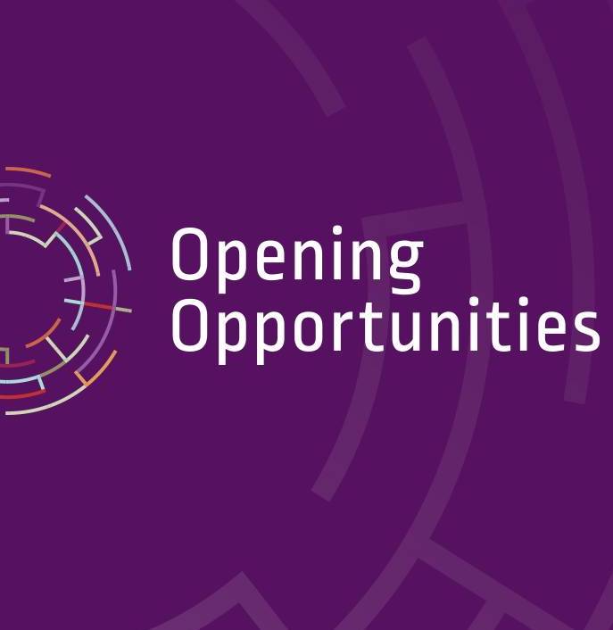 Programul de orientare în carieră pentru liceeni „Opening Opportunities”