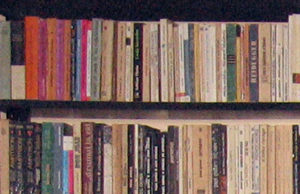 Zi Metodică la Biblioteca Comunală Horlești