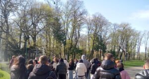 Arbori seculari în primăvară