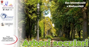 Arbori seculari în primăvară