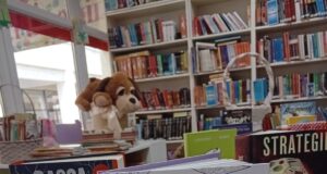 Îndrăznește! – expoziție de noutăți editoriale de la Arthur