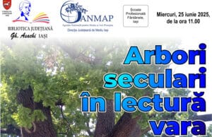 Arbori seculari în lectură vara