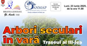 Arbori seculari în vară – Traseul al III-lea