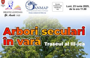 Arbori seculari în vară – Traseul al III-lea