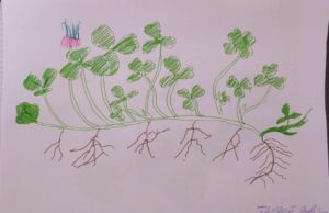 Vara în lectură, desen, joc și muzică