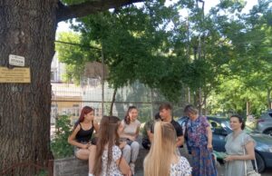 Arbori seculari în lectură vara