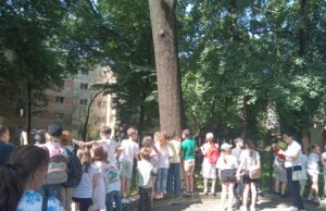 Arbori seculari în vară