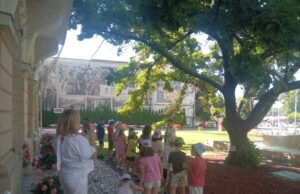 Arbori seculari în vară