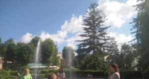 Arbori seculari în vară – Traseul al II-lea