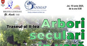 Arbori seculari în vară – Traseul al II-lea