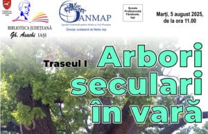Arbori seculari în vară