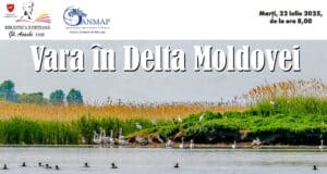 Vara în Delta Moldovei