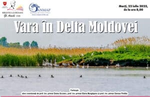 Vara în Delta Moldovei