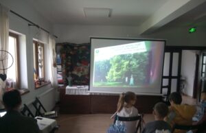 Să răsfoim o carte sub un arbore secular