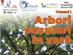 Arbori seculari în vară