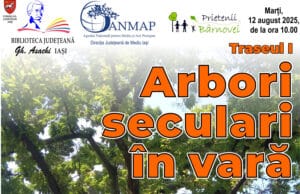 Arbori seculari în vară