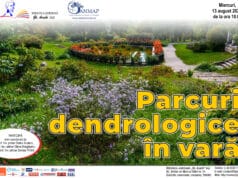 Parcuri dendrologice în vară