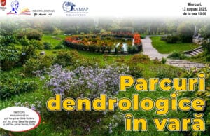 Parcuri dendrologice în vară